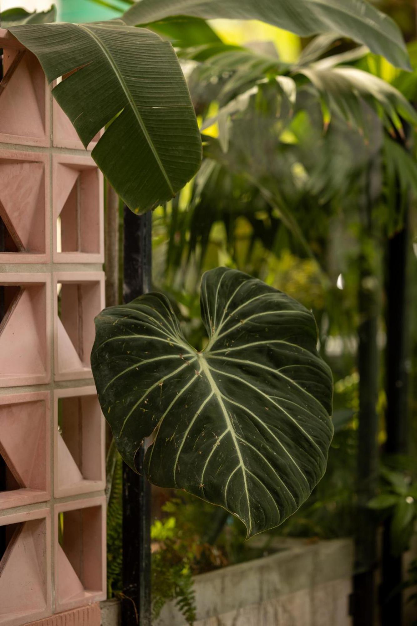 Sui Boutique Hotel Medellín Zewnętrze zdjęcie